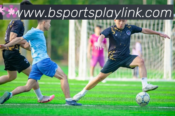 Bsports官网荣誉