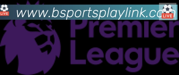Bsports官网合作伙伴