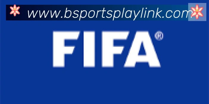 Bsports官网合作伙伴