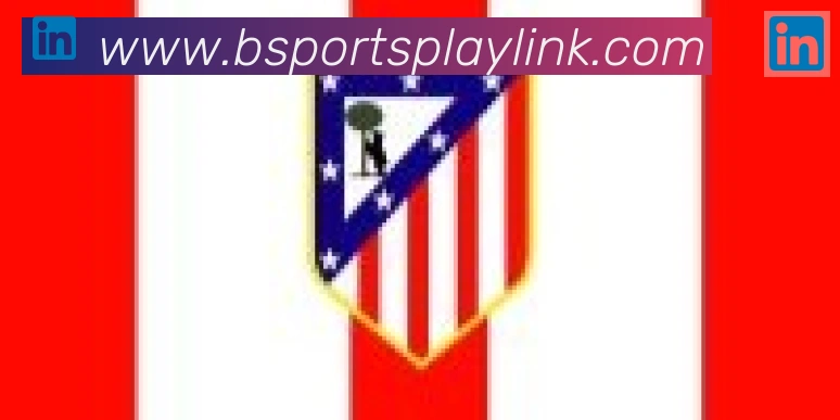Bsports官网合作伙伴