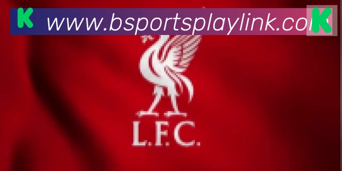 Bsports官网合作伙伴