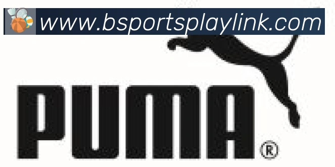 Bsports官网合作伙伴